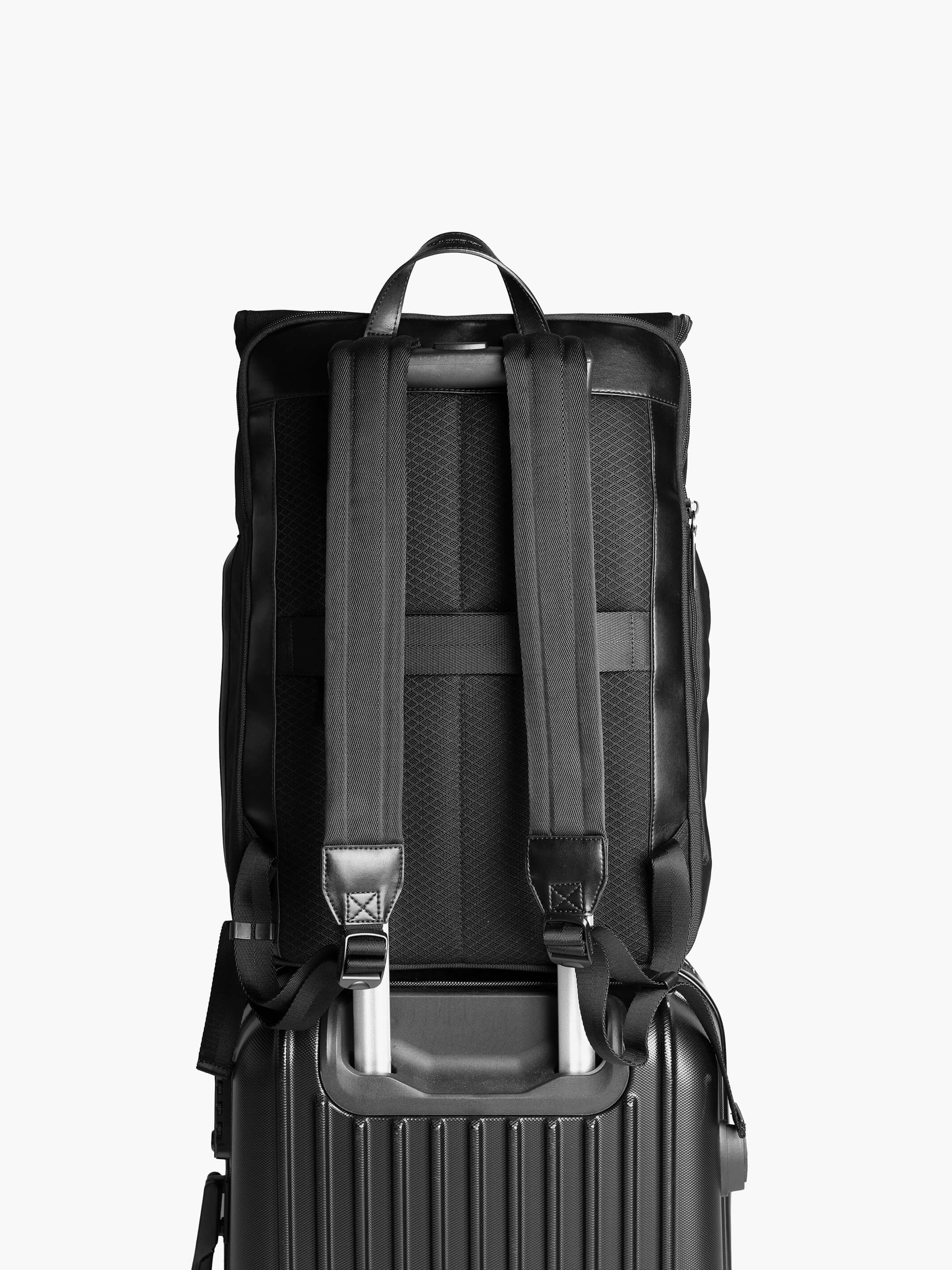 Rover Roll Top Backpack